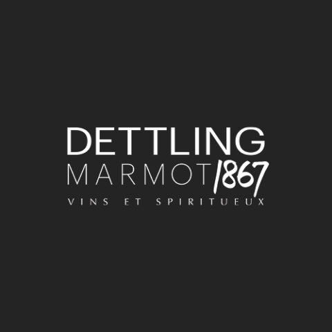 dettling-marmot-partner-whynotagency-luzern
